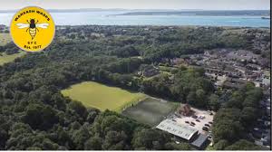 Image result for Warsash Wasps Sports & Football Club
