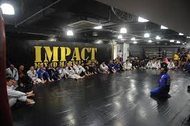 Image result for Impact Martial Arts