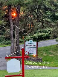 Image result for Archer Road Club