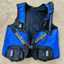 Image result for Seaquest Divers