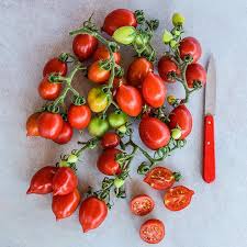 Afbeeldingsresultaat voor principe borghese tomato