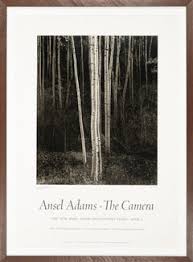 Image result for Ansel Adams Aspens New Mexico