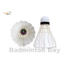 Image result for Feathers Badminton- Leatherhead