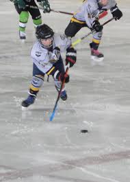 Image result for Preston Hockey Club