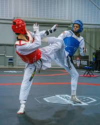 Image result for Taekwondo Athletes Program USA