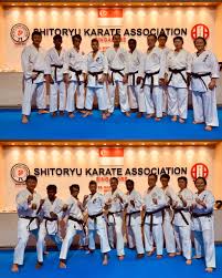 Image result for Shitokai Karate Club