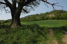 Image result for Stourport-On-Severn Cc