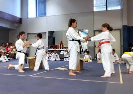 Image result for Haxby karate club