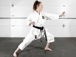 Image result for Abbey Fit Karate Club & Seiki Juku