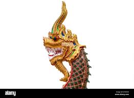 Kuvahaun tulos haulle nagas