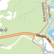 Attēlu rezultāti vaicājumam “Oligonema sp.”