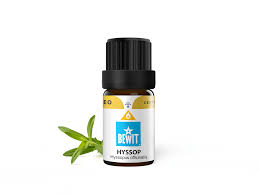 Image result for Ysop