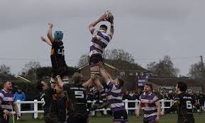 Image result for Stamford Rugby Union Football Club Ltd