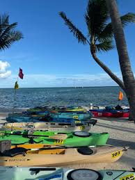 Image result for University Of Birmingham Kayaking Club