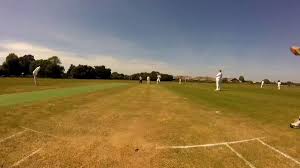 Image result for Lingfield Cricket Club