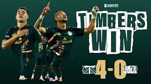 Image result for St James casuals cricket club