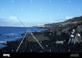 Image result for Bristol Channel Sea Fishing