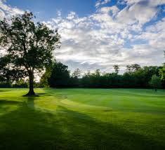 Image result for Badgemore Park Golf Club, Henley On Thames