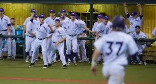 Image result for Thieves - The University Of Nottingham Baseball Club
