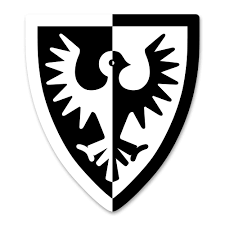 Image result for Falcons Black