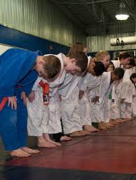 Image result for Felixstowe Judo club
