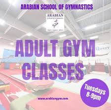 Image result for Arabian School Of Gymnastics