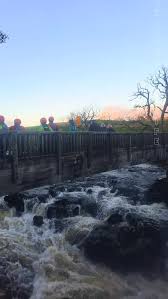 Image result for York University Canoe Club