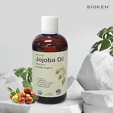 Image result for biojack tehron