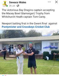 Image result for Bay Dragons CC