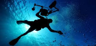 Image result for Simply Scuba
