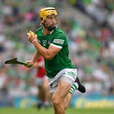 Image result for University Of Limerick Gaa Hurling Club