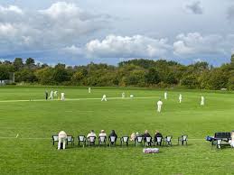 Image result for Lynchmere Cricket Club