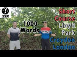 Image result for Croydon Disc Golf Club