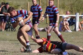 Image result for Westgate Wolves A.R.L.F.C.