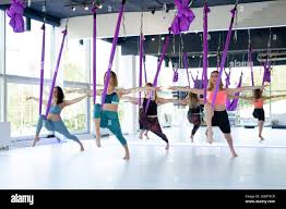 Image result for Aero Gymnastics Club