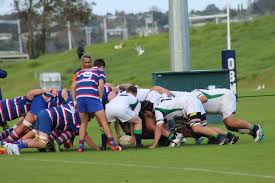 Image result for St Mary's Old Boys Rugby Football Club