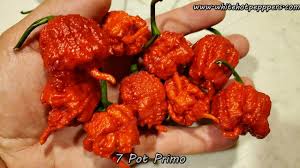 Afbeeldingsresultaat voor 7 pot hot pepper