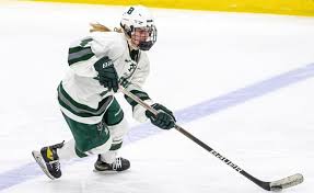 Image result for New Milton Hockey Club