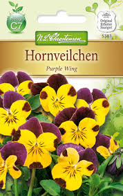 Image result for Hornveilchen