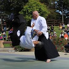 Image result for Bakewell Aikido Club