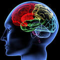 Brainwave Entrainment