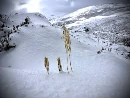 Image result for Green Lane Mountaineering Club, Surrey