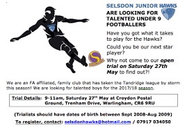 Image result for Selsdon Netball Club