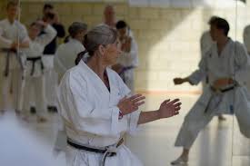 Image result for Haslemere Karate Club