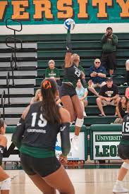 Image result for Leapoole Netball Club