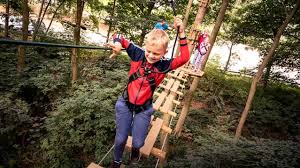 Image result for Go Ape! Dalby