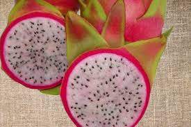 Attēlu rezultāti vaicājumam “Rosa subcanina fruit”