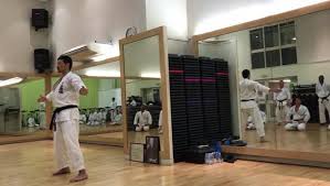 Image result for Kyomeikai Karate Club