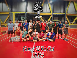 Image result for Cobra Badminton Club