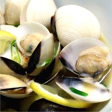 Image result for Clams